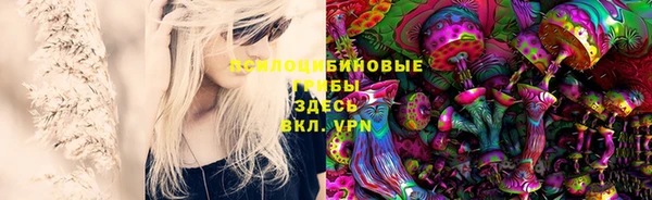 прущая мука Вязники